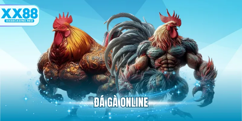 Đá Gà Online Và Những Kiểu Chơi Đá Gà Phổ Biến Hiện Nay