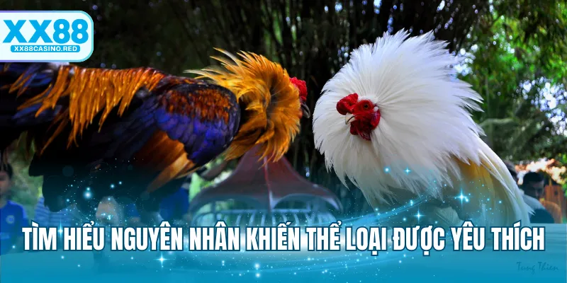 Tìm hiểu nguyên nhân khiến thể loại được yêu thích